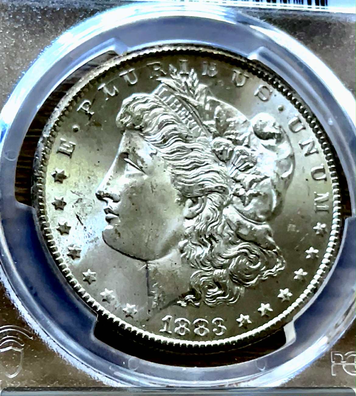 b53dd158-5d55-4f71-be8d-0ebff1c4b844 【希少W鑑定済】1883年 カーソンシティ モルガンダラー MS64+ PCGS & CAC ダブル鑑定済み